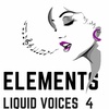 Elements - A Liquid Drum & Bass Podcast: EP 34 - Liquid Voices 4
