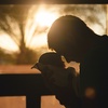 Parental Leave