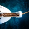 British Society For Middle East Studies Annual Lecture: The Corporeal Life of Commerce at Sea