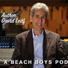 The Magic and Disappointment of The Beach Boys with David Leaf