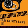 Gun Safety Laws