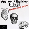 Episode 15 - Muscle Tissue Part 2 (Cellular Anatomy)