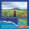 The Sweet Taste of Green Energy - Mauritius