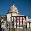 Does the Public Respond to Threats to Democracy?