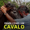 137 - Pense como um cavalo