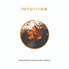 INTUITION 💡 instinctively receiving and trusting inner wisdom - (22/30)