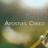 The Apostles' Creed  - Forgiveness of Sins (12/11/2022)