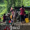 Episode 312:Myanmar refugees in Manipur lack health care, face suspicion