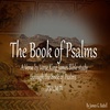 Book of Psalms KJV Bible Study - Psalm 7