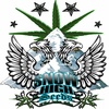 Episode 74 ft John of Snow High Seeds