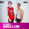 DT840 - Arnold & Lane