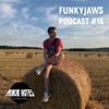 Funkyjaws - Minor Notes Podcast #16