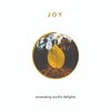 JOY π creating from the soul with surrender, curiosity, and love - (20/30)