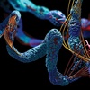 Episode 30 – The biochemistry of aging: Scripps Research Magazine