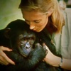 Episode 187 - The most amazing wildlife in film!