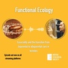 Eusociality and the transition from biparental to alloparental care in termites