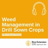 Weed Management in Drill Sown Crops