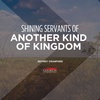 Shining Servants of Another Kind of Kingdom