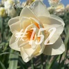 E152: Bloom