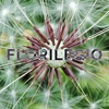 FLORILEGIO鈥橲 MIXTAPE #15