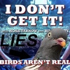 I Don't Get It: Birds Aren't Real