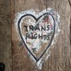 Trans Health and Abortion Access: an interview with Quinn Gormley