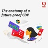 Anatomy of a Future Proof CDP