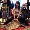 Ep.27 The Spirit Of The Tinley Park Reptile Show