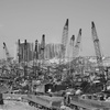 A year on from the devastating Beirut port blasts