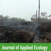 Tree species that live slow, die older enhance tropical peat swamp restoration