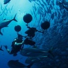 Coral Reef Bioacoustics Part I - with Prof. Steve Simpson