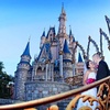 Episode 24: A Disney Wedding