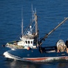 Fishing Forward