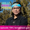 episode 194 : terran last gun