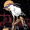 âThey insist on being hereâ: Oaklandâs official bird refuses to be moved