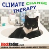 Climate Change Therapy - Ep. 29 - 2020 Year-in-Review Roundtable