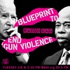 Blueprint To End Gun Violence