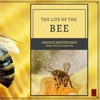 Nick’s Non-fiction | The Life of the Bee