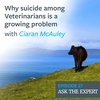 Episode 27: Why suicide among Veterinarians is a growing problem with Ciaran McAuley