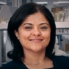 Fostering Innovation: Nehal Bhojak