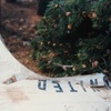 The crash on Crystal Mountain