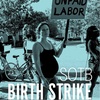Episode 228: Birth Strike With Jenny Brown