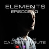 Elements - Liquid Soul Drum & Bass Podcast - Episode 40: Calibre Tribute