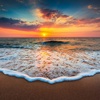 Episode 189 - Come dip your toes into this beachy episode.