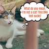 DNA Test Results Shocker!