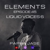 Elements - Liquid Soul Drum & Bass Podcast: Episode 45 - Liquid Voices #6