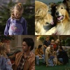 Full House: S8E1: Comet's Excellent Adventure (In Honor of National Golden Retriever Day)