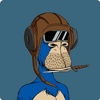 72: OG NFT Collector, activist, and builder in Web3 Mondoir