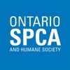 The Brant County SPCA introduces "Pets for Life" - Animals' Voice Pawdcast - Season 7, Episode 10