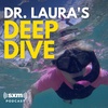 Deep Dive Classic: The Book I Never Wrote